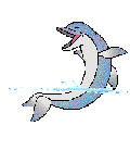 dolphin.gif (26117 bytes)